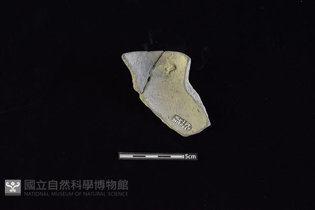 陶片藏品圖，第2張