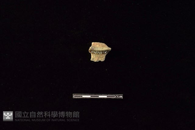 陶片藏品圖，第2張