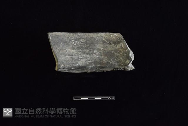 陶罐藏品圖，第2張