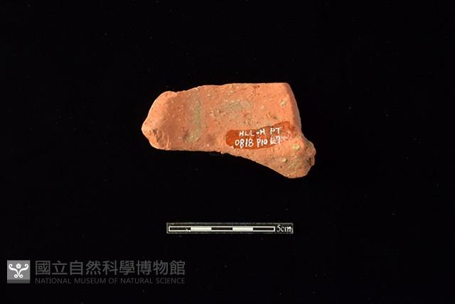 陶罐藏品圖，第2張