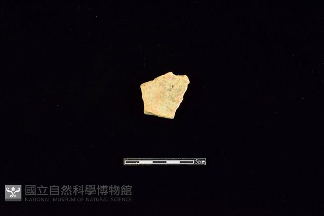 陶片藏品圖，第2張