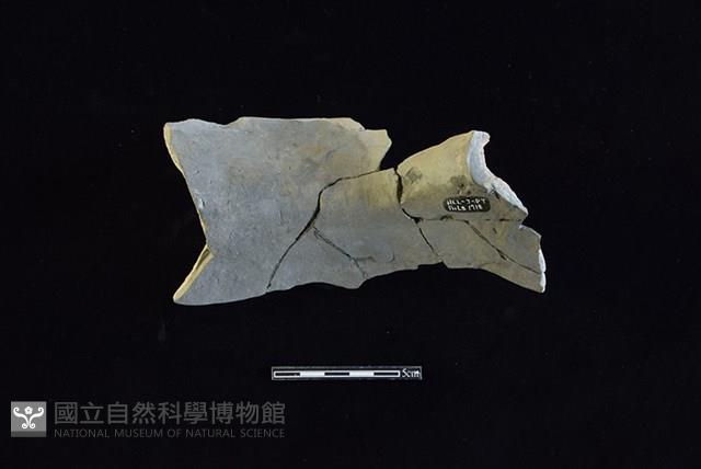 陶罐藏品圖，第2張