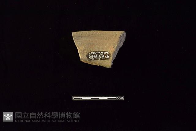 陶罐藏品圖，第2張