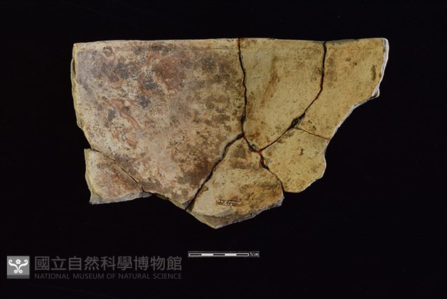 陶盆藏品圖，第2張