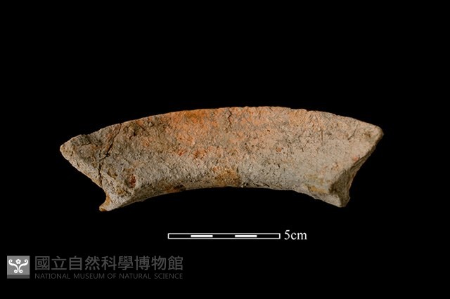 陶罐藏品圖，第2張