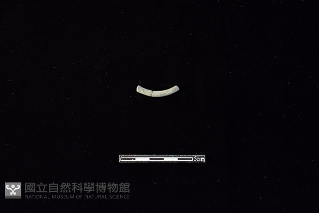 陶環藏品圖，第2張