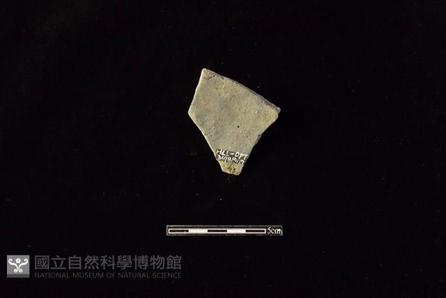 陶片藏品圖，第2張