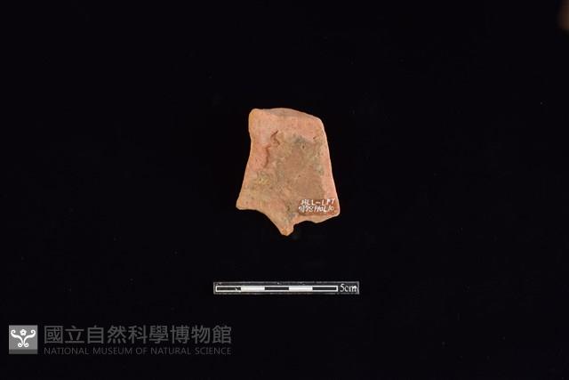 連杯形器藏品圖，第2張