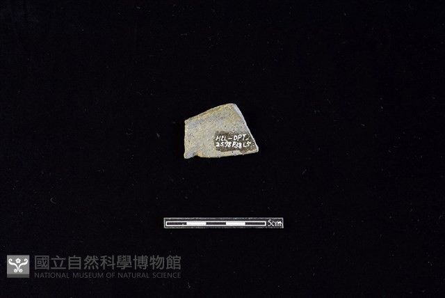 陶片藏品圖，第2張
