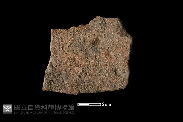 陶片藏品圖，第2張