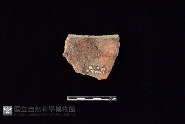 陶片藏品圖，第2張