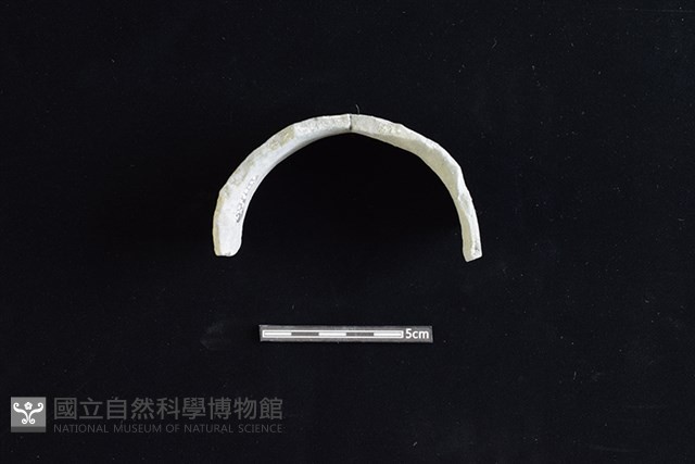 陶罐藏品圖，第2張