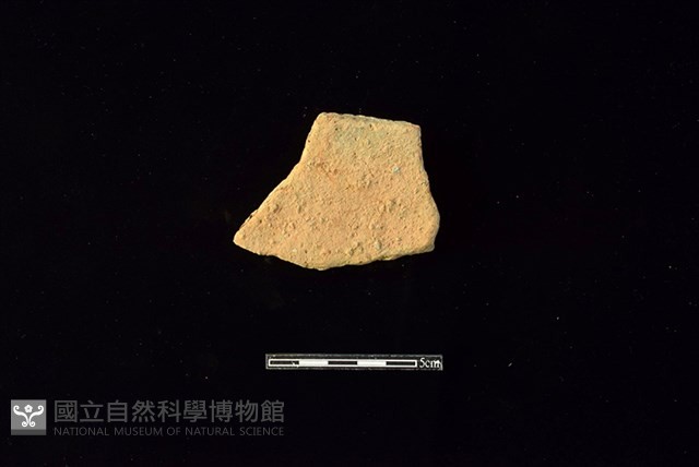 陶片藏品圖，第2張