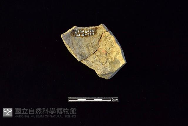 陶片藏品圖，第2張