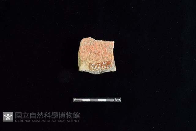 陶片藏品圖，第2張