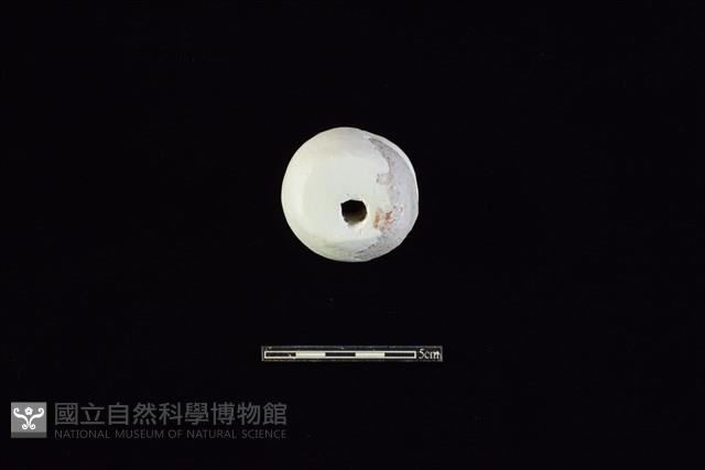 紡輪藏品圖，第2張