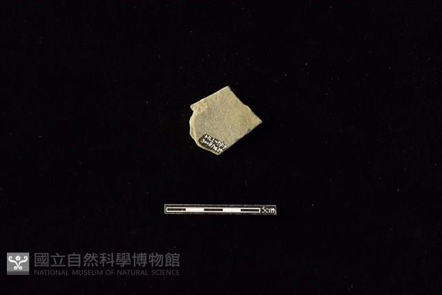 陶片藏品圖，第2張