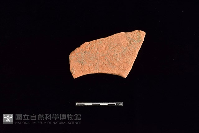 連杯形器藏品圖，第2張