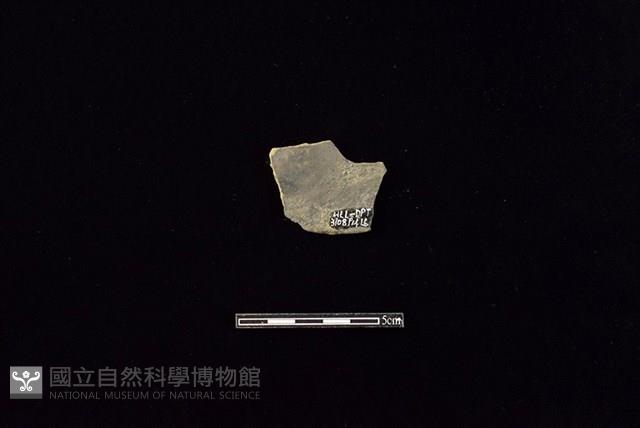 陶片藏品圖，第2張