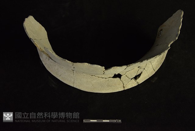 陶罐藏品圖，第2張