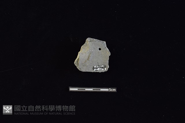 陶片藏品圖，第2張