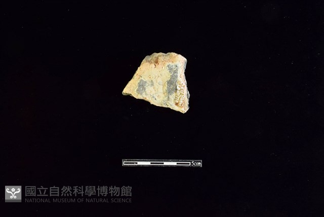 陶片藏品圖，第2張
