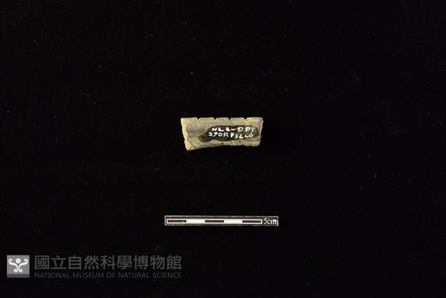 陶罐藏品圖，第2張