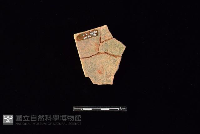 陶罐藏品圖，第2張