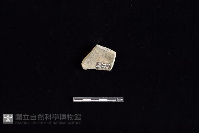 陶片藏品圖，第2張