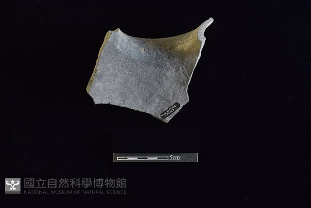 陶罐藏品圖，第2張