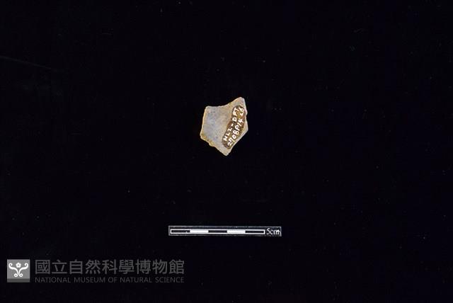 陶片藏品圖，第2張