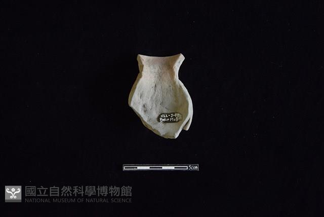 陶罐藏品圖，第2張