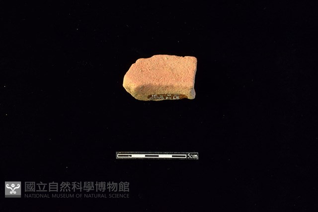 陶罐藏品圖，第2張