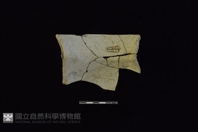 陶罐藏品圖，第2張