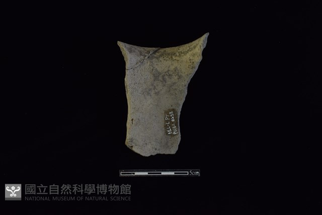 陶罐藏品圖，第2張