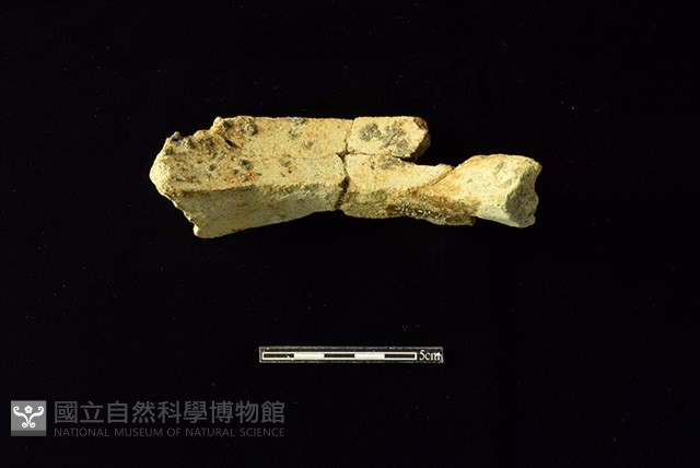 陶罐藏品圖，第2張