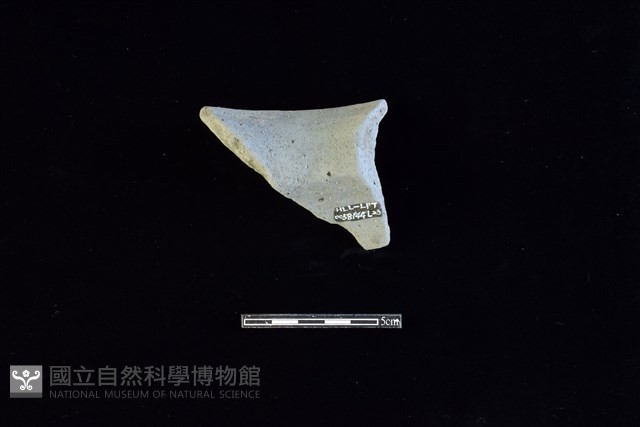 陶罐藏品圖，第2張