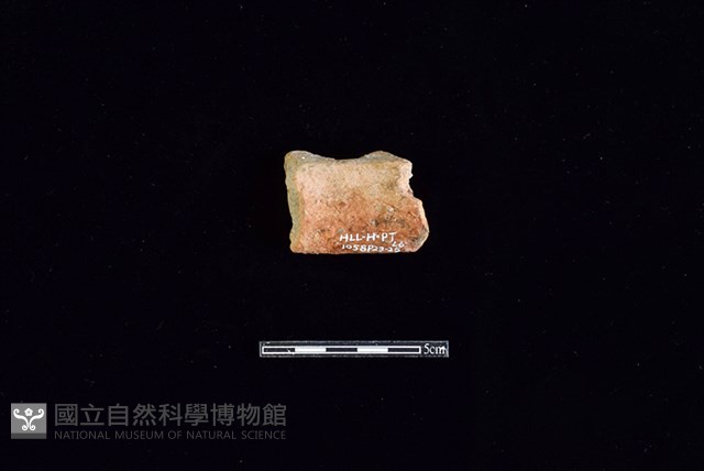 陶片藏品圖，第2張