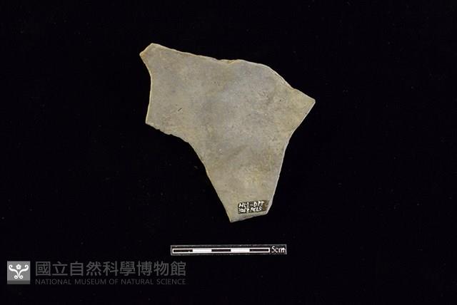 陶片藏品圖，第2張