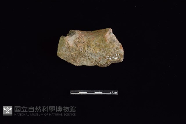 陶片藏品圖，第2張