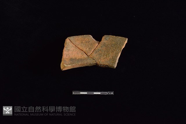 陶罐藏品圖，第2張