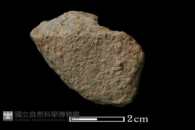 陶片藏品圖，第2張