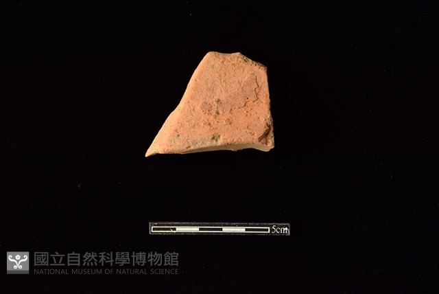 連杯形器藏品圖，第2張