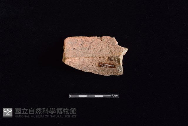 陶罐藏品圖，第2張