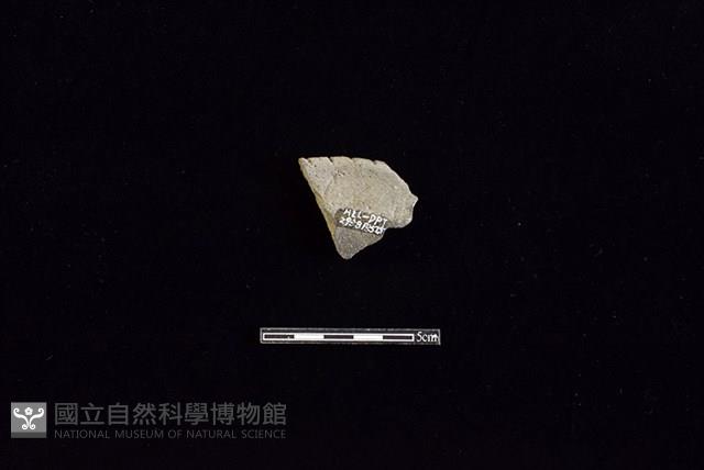 陶片藏品圖，第2張