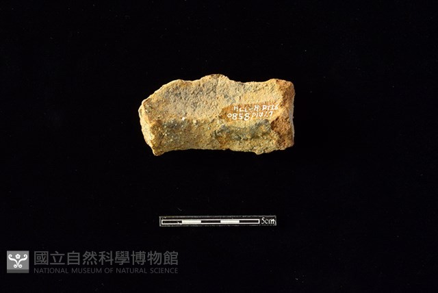陶罐藏品圖，第2張