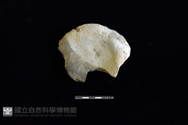 陶片藏品圖，第2張