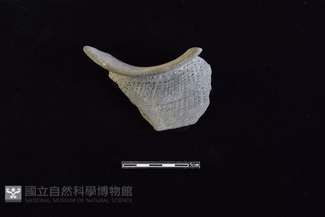 陶罐藏品圖，第2張