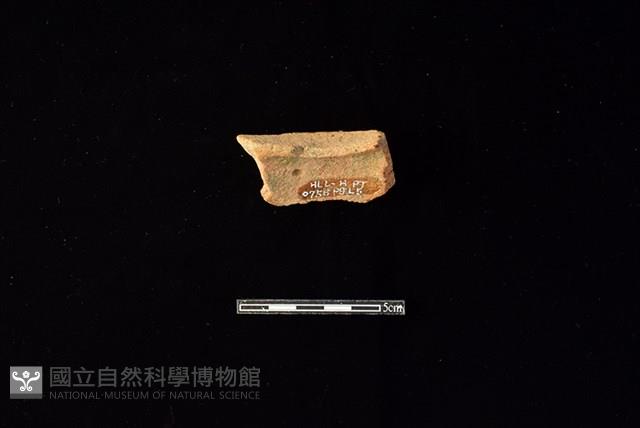 陶片藏品圖，第2張