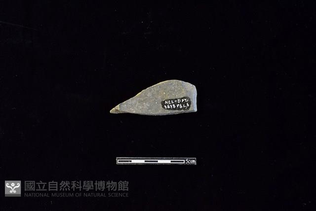 陶片藏品圖，第2張